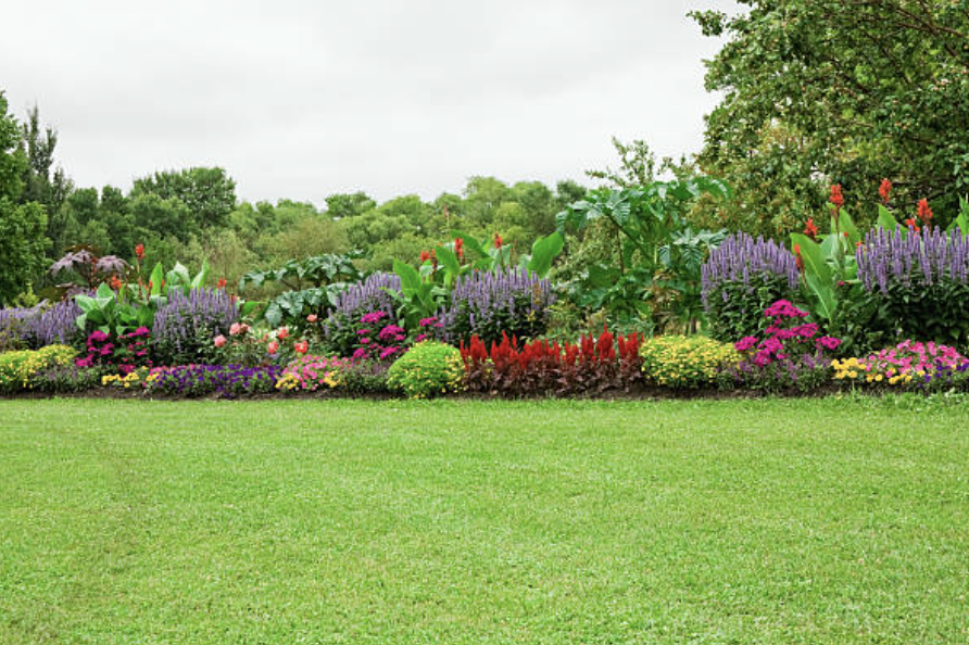 An image of a Landscaping Company in Pine Hills FL