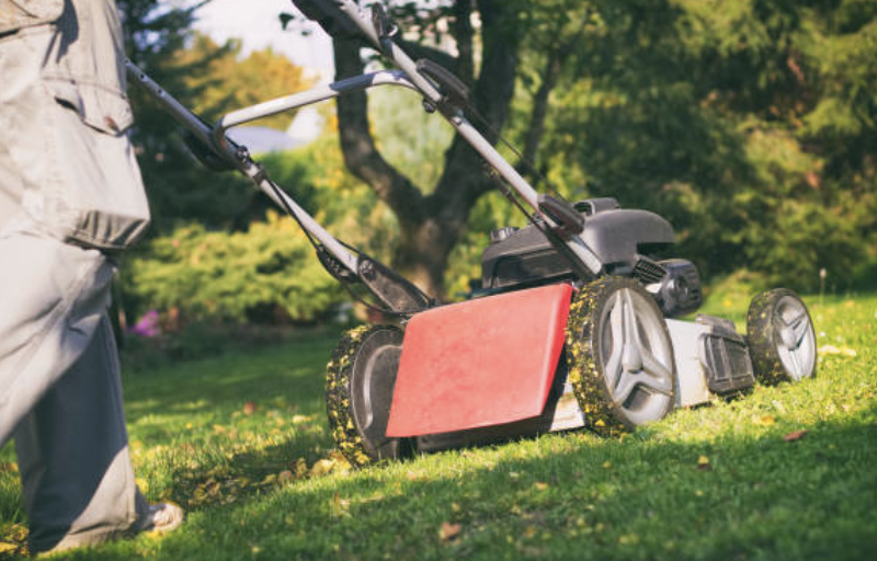 An image of Lawn Care Services in Pine Hills FL