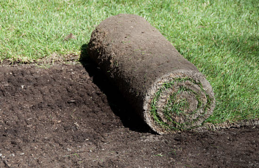 An image of Sod Installation Services in Pine Hills FL